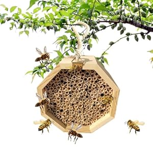 Uhngw Bestäubungsbienenhaus Holzhotel SQK6UF6CDEHLN4VP