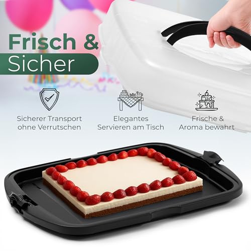 Novaliv Kuchen-Transportbox XL (Rechteckig 47 x 35 x 11 cm), Aufbewahrungsbox aufklappbar, Party-Box Container Tortentransportbox Tortenbehälter Behälter, Kuchen Torten Buffet Feier Transport Box