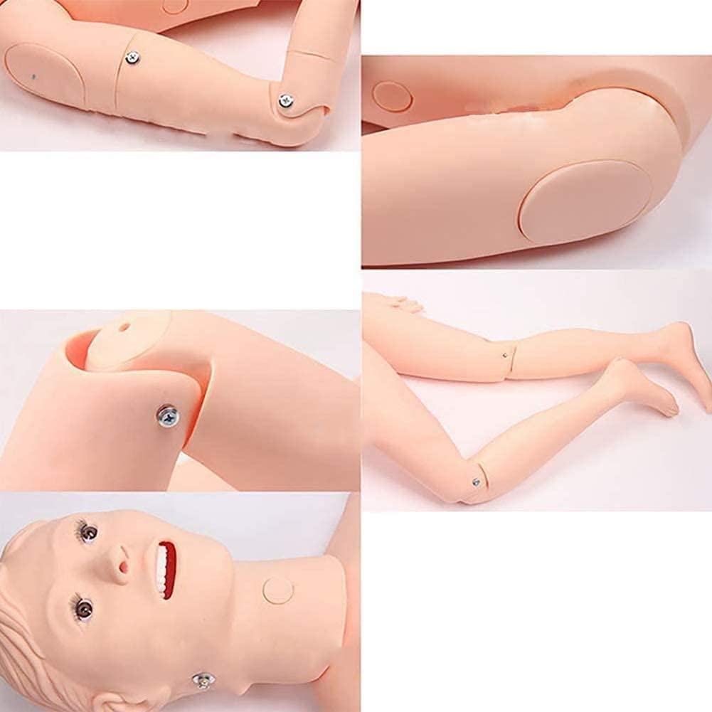 Lehrmodell, PVC-Pflegepuppe, Pflegetrainingspuppe, Multifunktionales Männliches Modell, Weibliche Schaufensterpuppe Für Lehr- Und Bildungsbedarf
