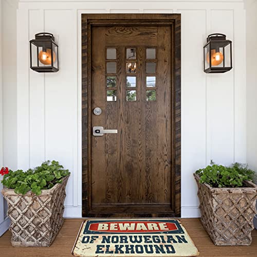 Tapis de porte d'été extérieur grand format élan norvégien pour cuisine et chambre 65x90