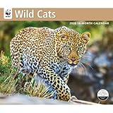 Carousel Calendars, Wild Cats WWF 2026 Wall Calendar, 12'' X 28'', 16-Month Calendar with Stapled Binding
