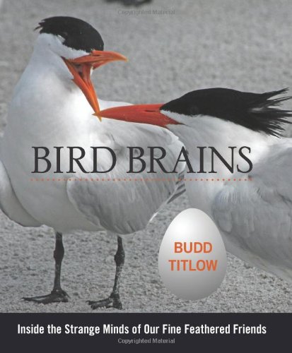Bird Brains: Inside The Strange Minds Of Our Fine Feathered Friends