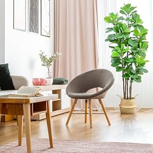 Roomtecartificialfiddleleaffigtree7fttallartificialtreewithwovenseagrassplantbasketfakefloorplantinpotforhomedecorlivingroomindooroutdoorofficebedroomdecor Urban Country Home Decor Roomtec artificial fiddle leaf fig tree7 ft tall artificial tree with woven seagrass plant basket fake floor plant in pot for home decor living room indoor outdoor office bedroom decor urban country home decor