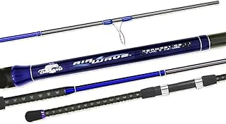 Tsumani Air Wave Surf Rod