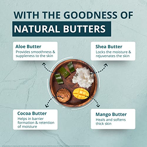 Image of Venusia Max Intensive Moisturizing Cream For Dry Skin To Very Dry Skin, 150 g x Pack of 12