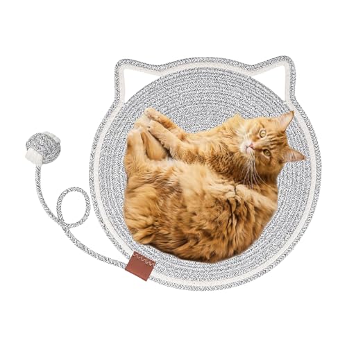 Indoor CatspXNb`}bg,{[tEh^XNb`O - tbNtybgANZT[Lbgxbh - ƒp rO[ xbh[  \t@ R[i[ J[ybg 