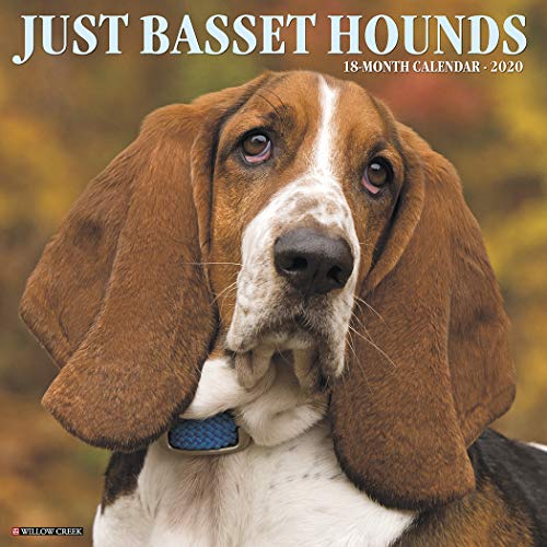 Télécharger Just Basset Hounds 2020 Calendar Francais PDF