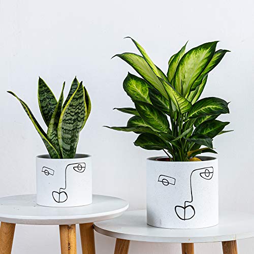 Kimisty Set 2 Ceramic Face Planters, 7 Inch & 6 Inch Modern Planter Pot With Handmade Finish, Unique Large Indoor Planter, With Drainage And A Plug #TOP2