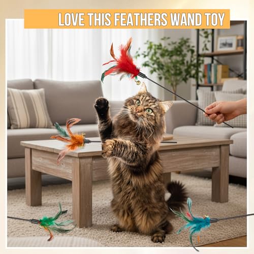 Leitee 50 Pcs Cat Wand Toy Feather Stick Cat Toy Bulk Feather Toys and Teaser Wand Bulk Interactive Stick for Indoor (Multi-Color) by Leitee - Image 5
