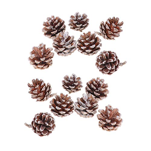 Artibetter 25Pcs Light Brown Pine Cones with White Tips for Christmas Tree Decor, Winter Crafts, Home and Party Decoration (3-4cm)
