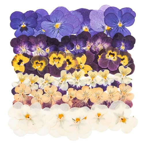YONOVO 48 Pcs Pansy Dried Pressed Flowers for Resin Crafts, Purple Dried Flowers for Resin, Small Natural Flat Johnny Jump-Up Bulk Kit for DIY, Scrapbooking, Soap Making, Cake & Wedding Decoration