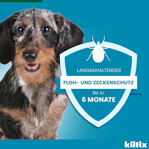 Kiltix Zecken- und Flohhalsband für kleine, aktive Hunde – ca. 35 cm langes Zeckenhalsband für langanhaltenden Zecken- und Flohschutz – Floh- und Zeckenmittel für Hunde