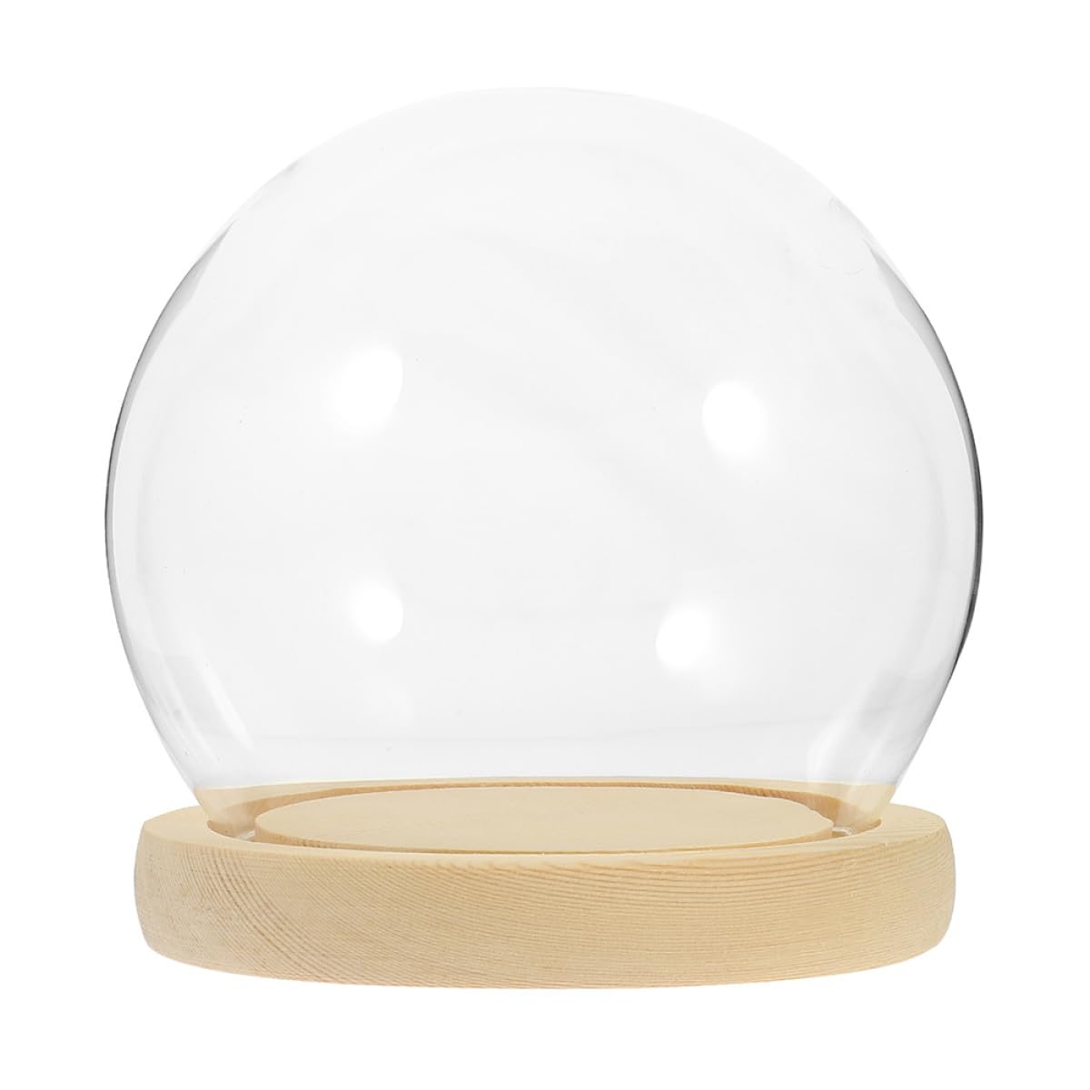 Cloche en verre socle bois dôme anti-poussière fleurs stabilisées