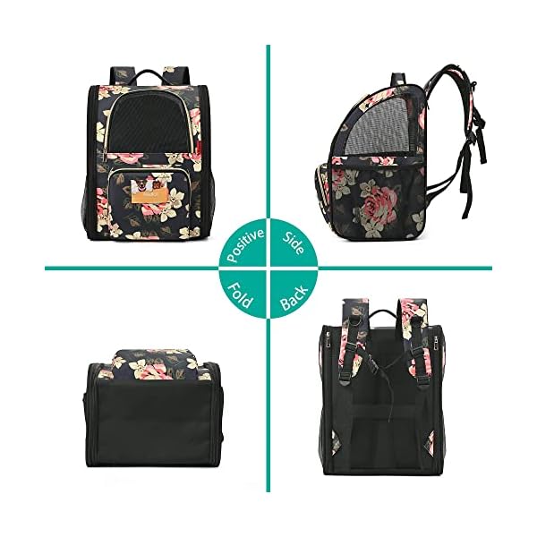 SUPPETS-Cat-Backpack-Airline-Approved-Carrier-Backpack-for-Small-Dogs-Carrier-with-Ventilated-Design-Collapsible-and-Waterproof-Pet-Bag-Carrier-with-Washable-Pad-for-TravelHikingOutdoor SUPPETS Cat Backpack Airline Approved Carrier - Best Travel Bag for Small Dogs