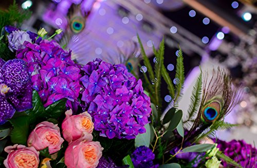 Moonlight Feather | 10 Pieces - Big Eye Natural Peacock Tail Eye Feathers For Crafts, Costume, Mask, Halloween Green Iridescent Purple Natural Molted Peacock Feathers. #TOP6