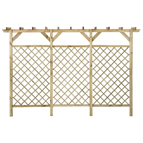 vidaXL Pin Clôture à Treillis de Jardin avec Pergola Clôture de Jardin Support de Plantes Grimpantes et Fleurs Patio Extérieur 300x50x200 cm