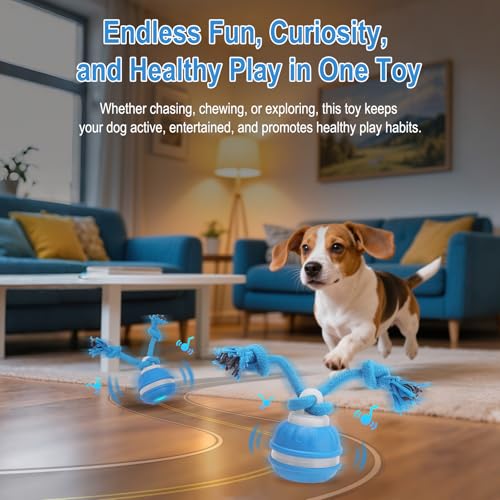 NGOKPYD Interaktives Hundespielzeug Hundeball Elektrisch Ball, 3 Spielmodi, Gibt VogelgeräUsche ab, um Die Neugier Zu Wecken, mit 3 Kaustricken, Ideal für Kleine Hunde & Welpen(Blau)