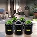 VEVOR DWC Hydroponic System, 5 Gallon 5 Buckets, Deep Water Culture Growing Bucket, Hydroponics Grow Kit with Pump, Air Stone and Connected Reservoir, for Indoor/Outdoor Leafy Vegetables