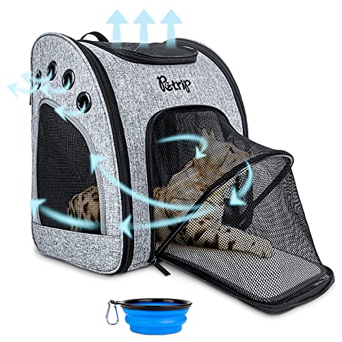 best cat carrier backpack