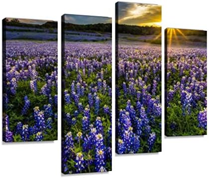 HIPOLOTUS 4 Panel Canvas Pictures texas bluebonnet field in sunset at muleshoe bend recreation area Wall Art Prints Paintings Stretched & Framed Poster Home Living Room Decoration Ready to Hang