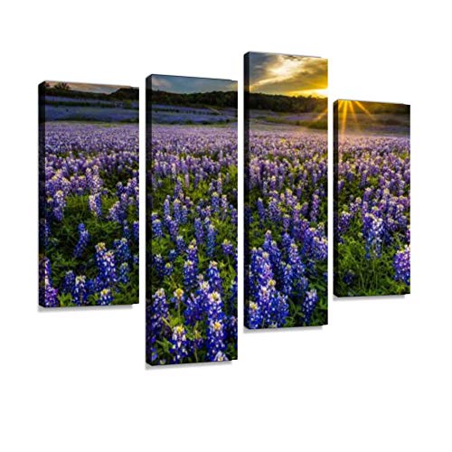 Hipolotus 4 Panel Canvas Pictures Texas Bluebonnet Field In Sunset At Muleshoe Bend Recreation Area Wall Art Prints Paintings Stretched & Framed Poster Home Living Room Decoration Ready To Hang #TOP30