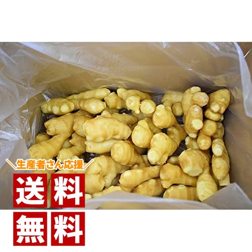 Amazon.co.jp: 生姜 5kgバラ Mサイズ （中国産） : 食品・飲料・お酒