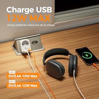 TESSAN Adaptateur Prise Brésil, 3 en 1 Adaptateur Brésil France avec USB C et USB A, Prise Type N 2500W