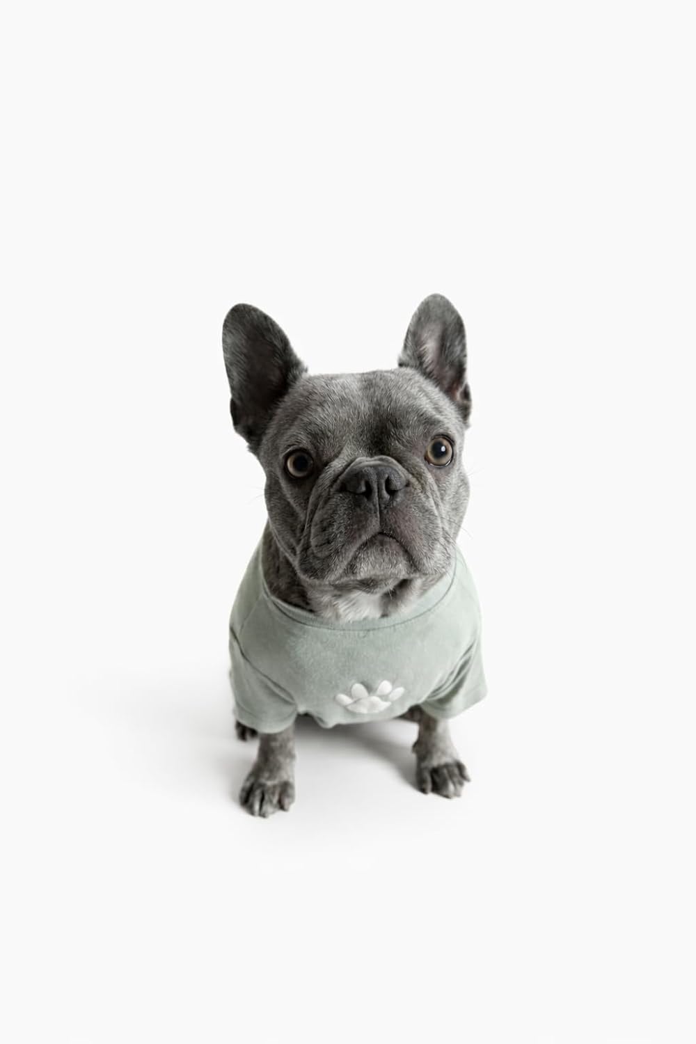 Dog Shirt – 100% Cotton Dog T-Shirt for Small, Medium & Large Dogs, Soft Breathable Machine Washable Dog Clothes, Comfortable Puppy Shirt, Cute Dog Apparel, Green, Large