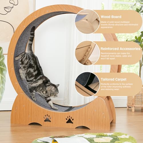 EXQ Home Roda de exercícios para gatos em ambientes internos, roda de corrida de 100 cm de altura co