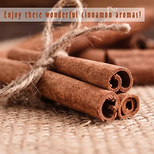 Fragrance Oil, Mitflor Cinnamon Essential Oils Set, Soap Candle Making Scents, Spicy Essential Oils For Diffusers For Home, Cinnamon, Cinnamon Vanilla, Cinnamon Apple And More, 10Ml*6 #TOP5