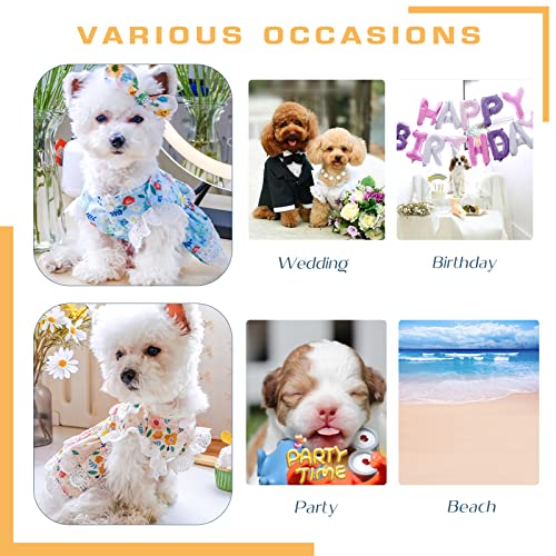 Abrrlo 2 Pack Dresses For Small Dogs Female Girls Puppy Cat Summer Dog Clothes Cute Floral Lace Pet Princess Birthday Dress Costume (Blue+Yellow,Xl) #TOP6