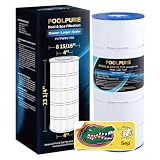 POOLPURE PLFPWWCT150