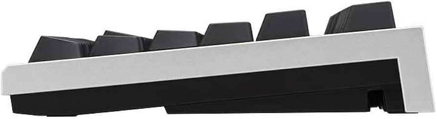 Amazon.co.jp: R2TLSA-US3M-BK(シルバー/黒) REALFORCE TKL for Mac