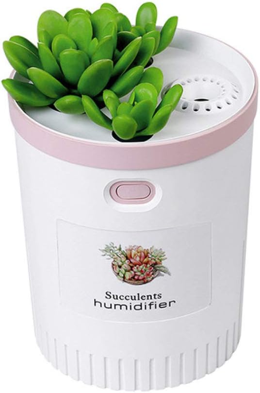 umidificatore d'aria per piante