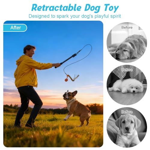 SGZIOO Reizangel Hunde, 102cm Ausziehbar Teleskopstange mit Ersatzseil, Profi Reizangel für Große und kleine Hunde, Aktives Hundespielzeug, Geeignet für Drinnen und Draußen
