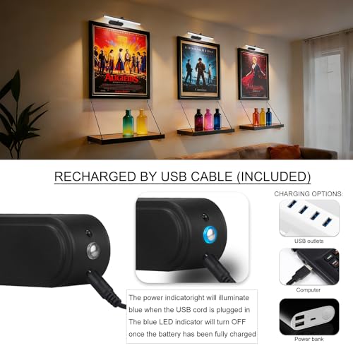 Image of RAIFOOLLY Picture Light, Art Light for Paintings, 5000mAhBattery Operated Wall Light, Remote Accent Light with Timer and Dimmable for Frame, Portrait, Dartboard - Black 2PK