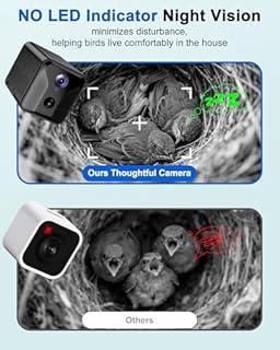 BirdoorKam Smart Bird House with Camera Solar Powered,Isolated Camera Bay & Bird-Safe Varnish, 2K HD Pinewood Birdhouse with Camera Inside,Smart Bird Nest Box,Auto Detection for Backyard Birdwatching