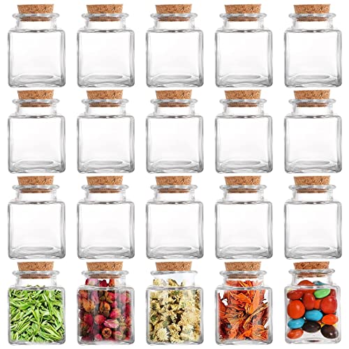 Dicunoy Glass Favor Jars with Cork Lids, 20 Pack x 60ml Mini Square Glass Bottles with Stoppers for Herb Storage, Small Spice Containers for Tea, Jelly, Candy, Potions, Wedding, Favors, DIY Crafts