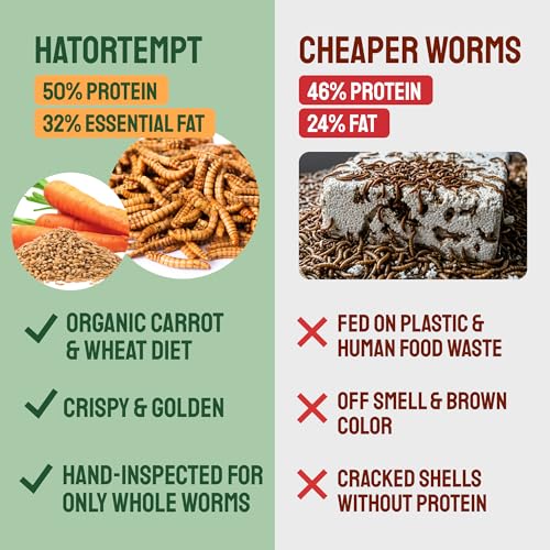 Hatortempt Dried Mealworms for Chickens - Organic Chicken Feed Supplement - Mealworms 10 lbs - 50% Protein, for Poultry and Wild Birds - Image 4