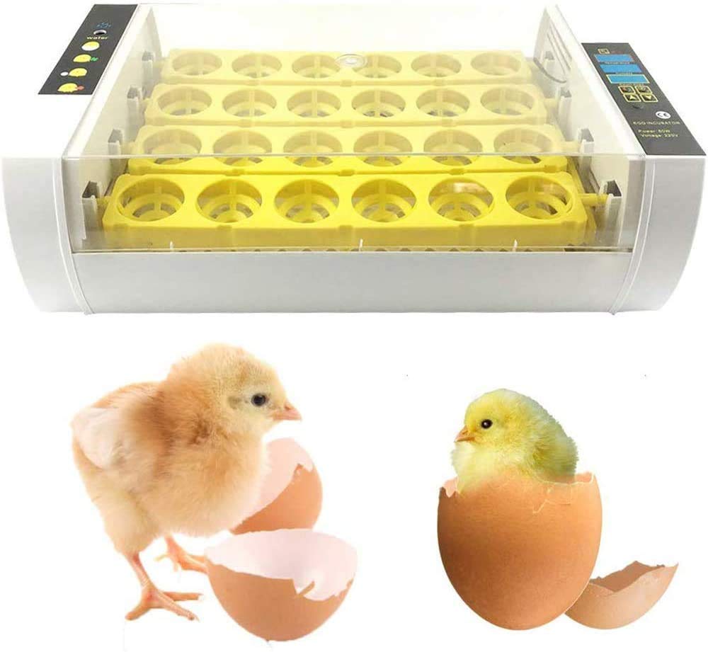 Incubateur d'oeufs numérique LED automatique pour poule, canard et oie