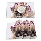 【Taille des Sets de Table】 17.7*11.8(45cmx30cm),Paquet - Lot de 4 set de table plastique. Caractéristique: Résistant à la chaleur, antidérapant, essuyable, lavable et durable.