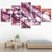 SIGNWIN 5 Panel Canvas Wall Art Abstract Closeup Digital Art Modern Artwork for Home Decorations Ready to Hang - 60