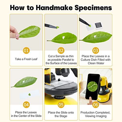 Bresser Microscope Kit For Kids, 40X-750X Kids Microscope With Prepared Slides, Dual Led Microscope For Kids, Equipped With A Full Set Of Specimens Making Tools For Boys Girls, Yellow #TOP4