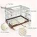 PJDDP Dog Crate, Metal Puppy Cage with 2 Lockable Doors & Removable Plastic Tray, Indoor Pet Kennel for Small to Medium Size Dogs Cats Training,Pink,S