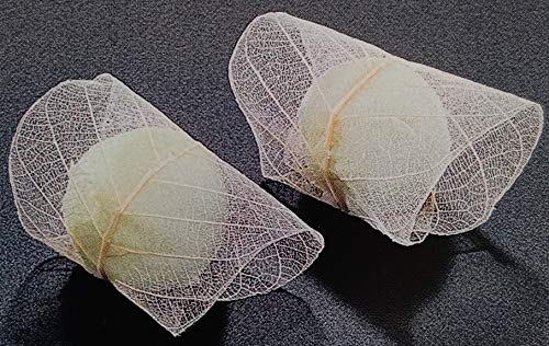 前菜・八寸 透かし若草 25個 冷凍 業務用