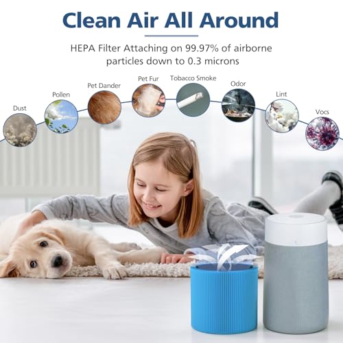 411i Max 411a Replacement Filters for Blueair 411i Max and 411a Max Air Purifier, F4MAX Particle and Activated Carbon Filter, 2 Pack