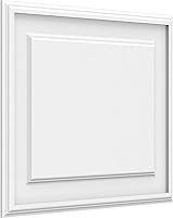 Vista 118 de Ekena Millwork Panel de pared decorativo de 16 pulgadas de ancho x 12 pulgadas de alto x 5/8 pulgadas de alto