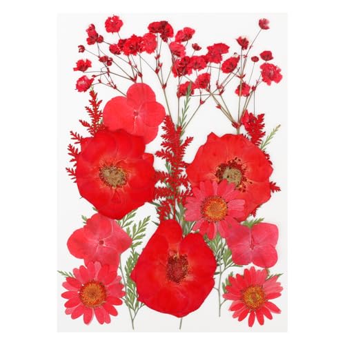 Flores secas prensadas NESCCI 18 piezas para manualidades miniatura 1