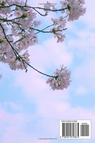 Monaco Travel Guide: Complete Monaco Travel Guide For Beginners, Things To See There, How To Get Around And Yearly Occasions In Monaco #TOP1