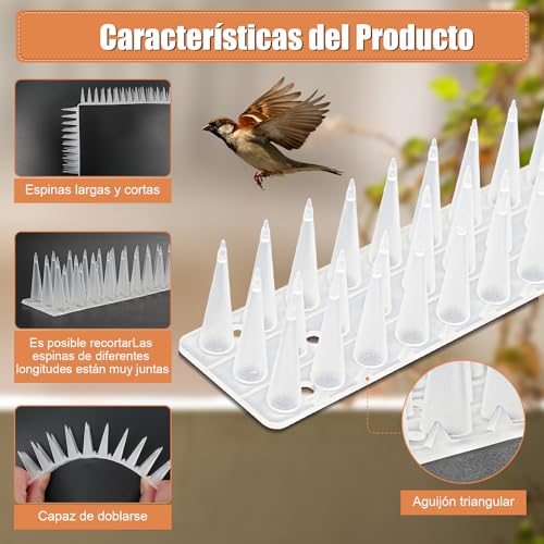 Imagen adicional